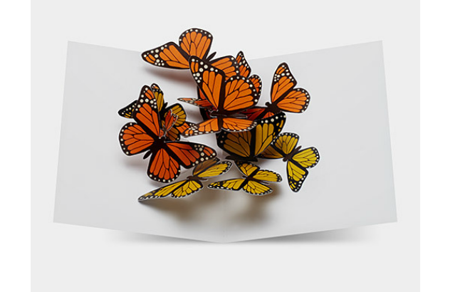 120067_a2_fluttering_butterflies_pop-up_note_card.png