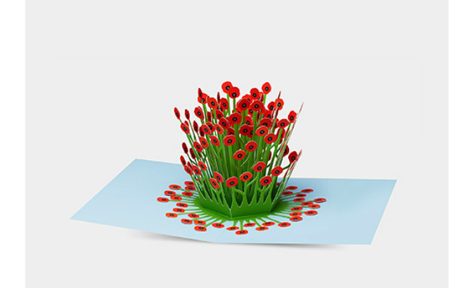120068_a2_blooming_poppies_pop-up_note_card.png