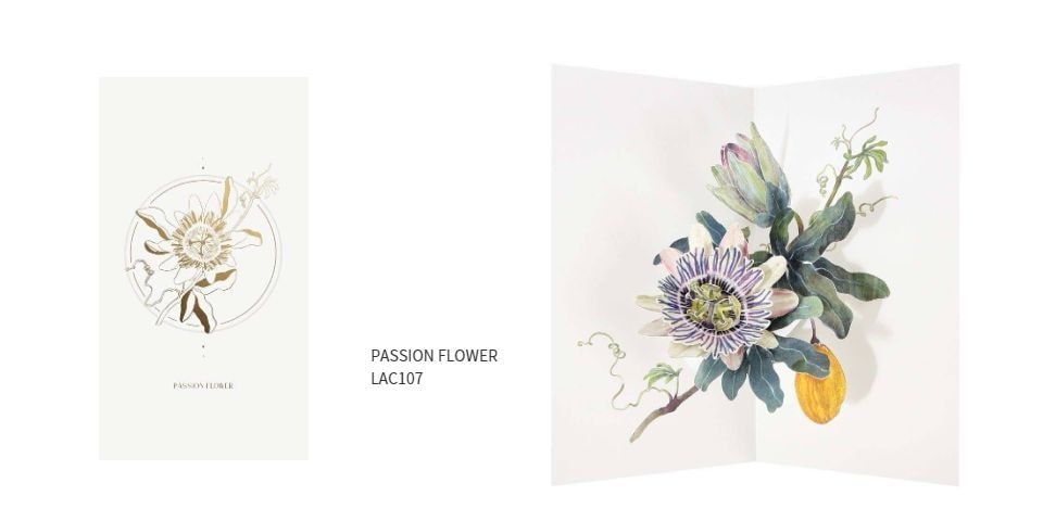 lac107_passion_flower.jpg