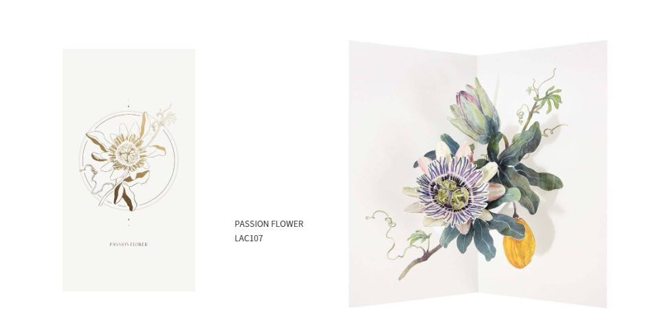 lac107_passion_flower.jpg